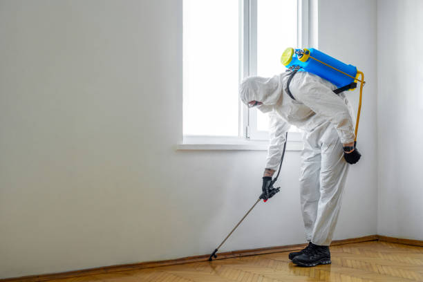 Wasp Removal Services in Seneca, MO